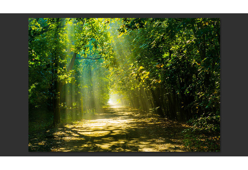 Road in Sunlight Wallpaper, 300 cm x 210 cm