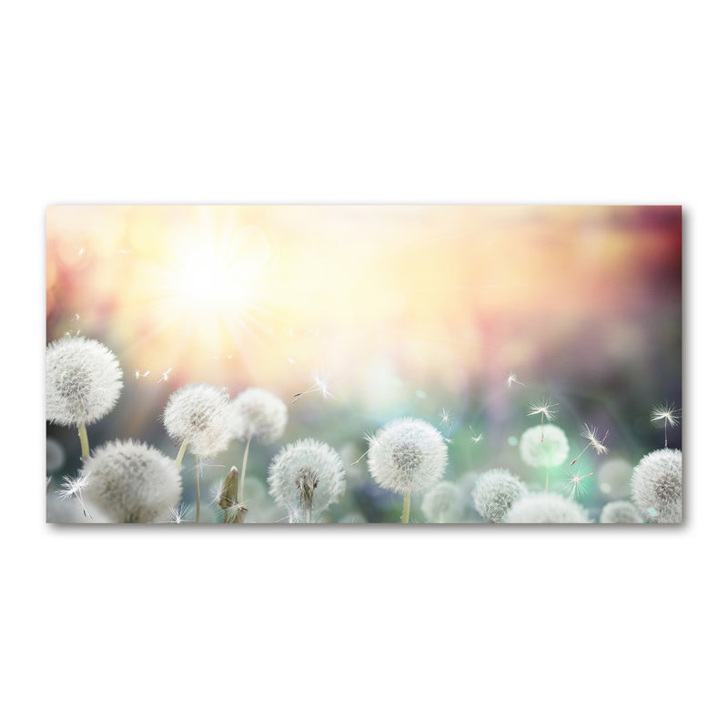 A Field Of Dmuchawy - Wrapped Canvas Print