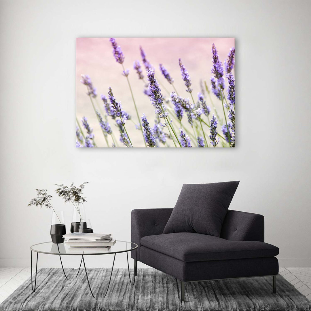 Leinwandbild Lavender Nature Flowers