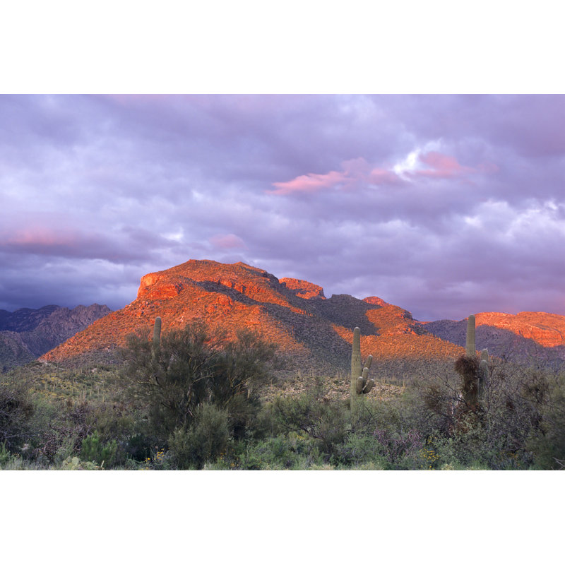 Alpenglow au canyon Sabino par Cay-Uwe, H 20 po x l 30 po