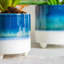 Ceramic Pot Planter-63880957