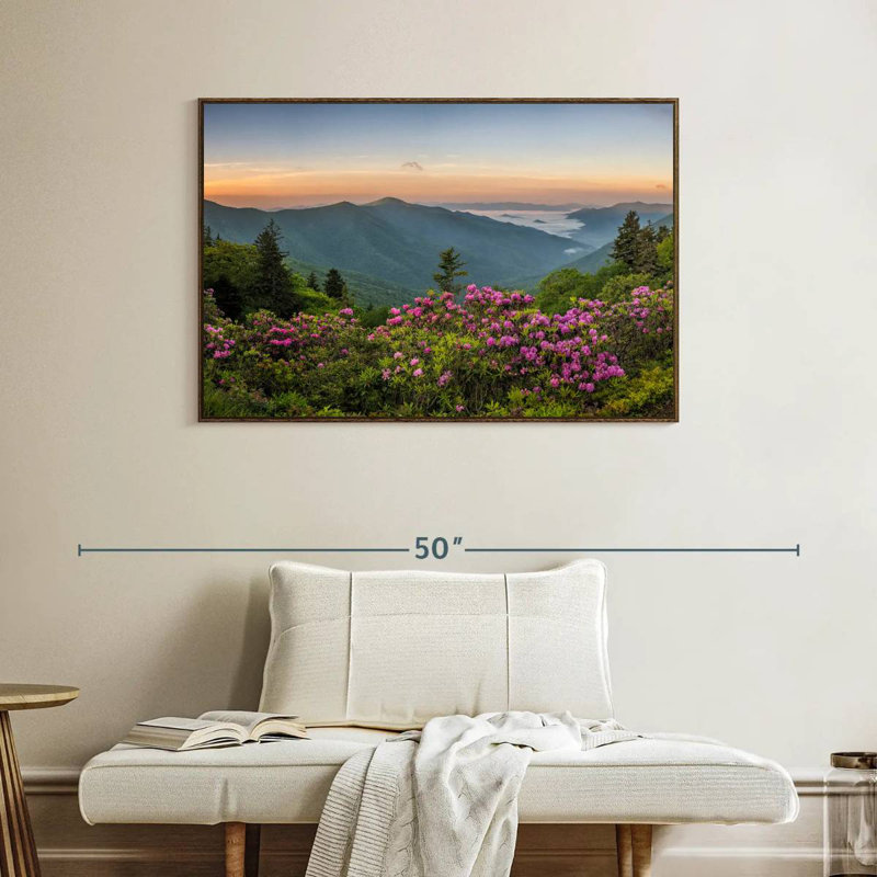 Blue Ridge Mountains View, Cadre flottant noyer, 40 po x 27 po