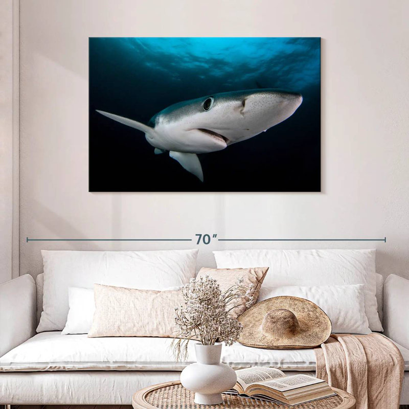 Requin bleu sous-marin Brampt, H 30 po x l 45 po