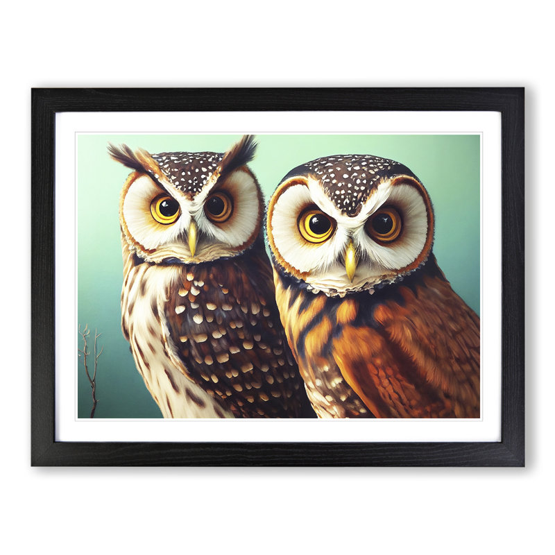 Curious Owls - Framed Print, Black, 46cm H x 64cm W x 2cm D