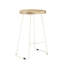 Margaret Counter Stool with Metal Frame-39266296