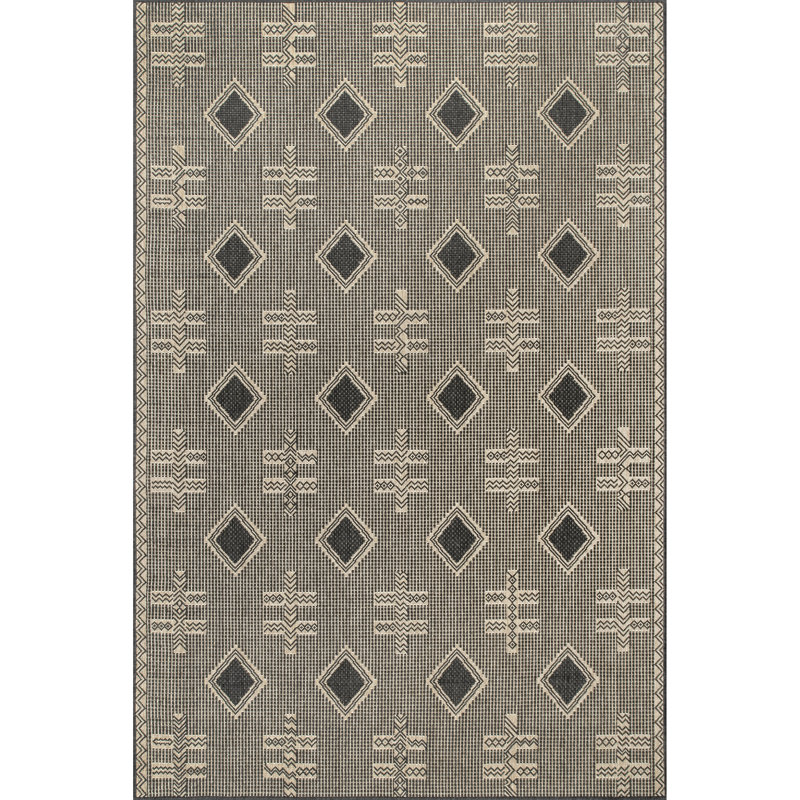 Tapis intérieur / extérieur gris anthracite Kaitlynmarie, Rectangle 4 pi x 6 pi