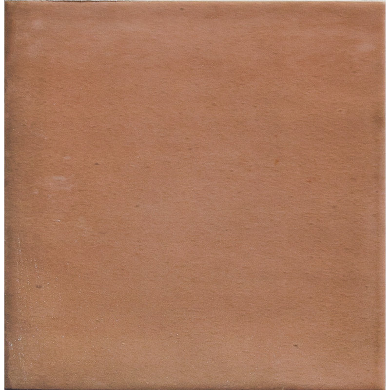 Carreau de porcelaine 5 po x 5 po San Miyos, Chameau