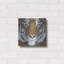 «Tiger Gaze» par Britt Hallowell-325729901