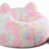 Rainbow Faux Fur n'est pas disponible