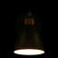 Azalea Spotlight-25454766