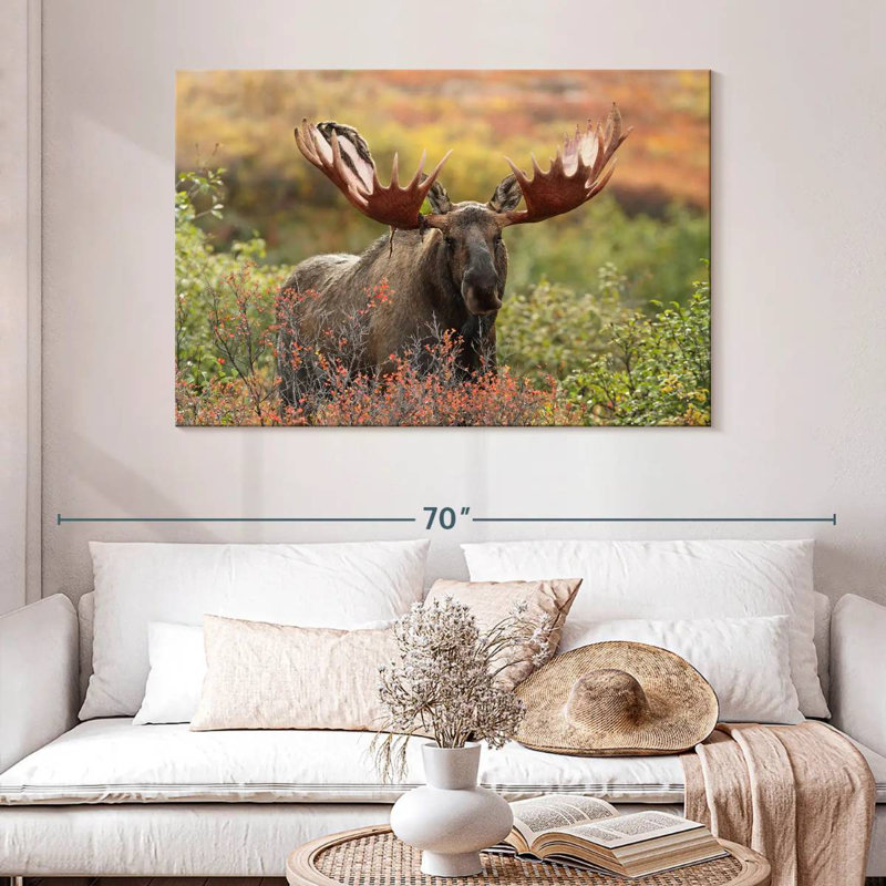 Brampt Denali Bull Moose, 32" H x 48" W