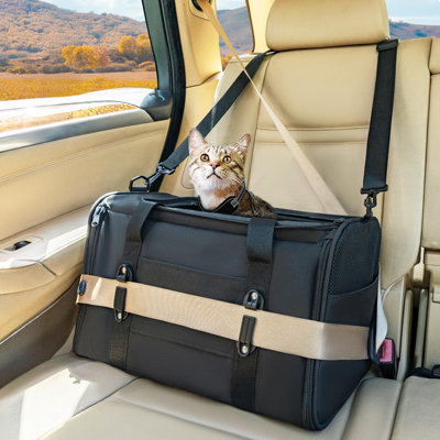 Soft-Sided Cat Carriers & Car Seats