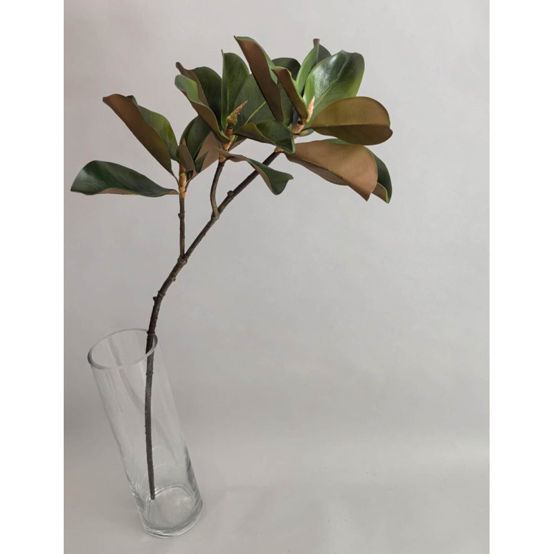 SPRAY À FEUILLES DE MAGNOLIA X3, H 20 po x l 5 po