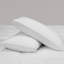 Ensemble de 2 coussins décoratifs Goose Feather-2037027836