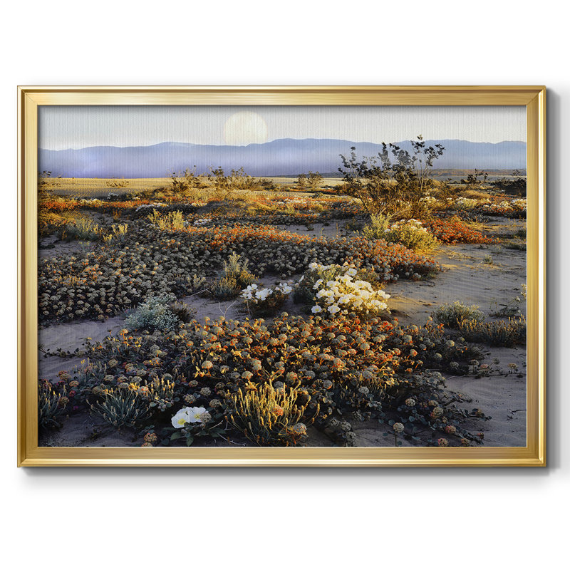 Anza Borrego Desert, reproduction d'art sur toile, H 30 po x l 44 po x P 1,5 po, Or
