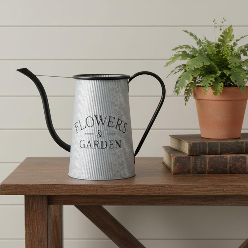 Arrosoir décoratif de jardin en métal 10 po