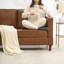 Canapé en cuir 81 po, siège profond moderne Mid-Century, coussin rembourré et housse amovible, canapé en polyuréthane brun-313217525
