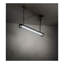 Paloma Golpe 2 - Light Pendant