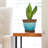 Handmade Ceramic Pot Planter
