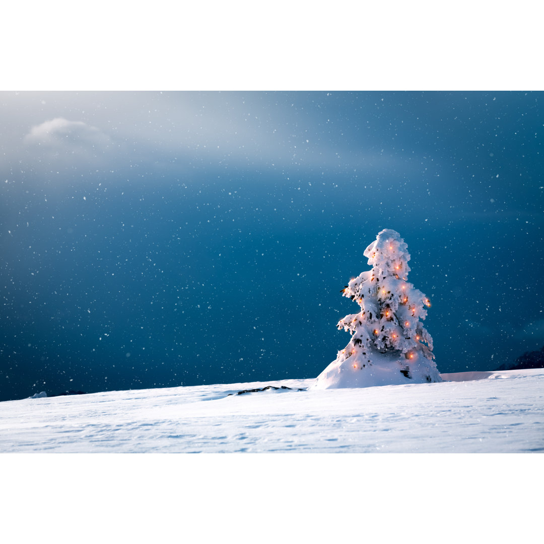 Weihnachtsbaum und Schnee - Kunstdrucke auf Segeltuch