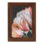 Pastel Parrot Tulips III encadré sur papier-844912994-844912987