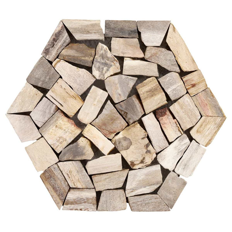Fossil 10" Hexagon Tumbled Petrified Stone Mosaic Tile