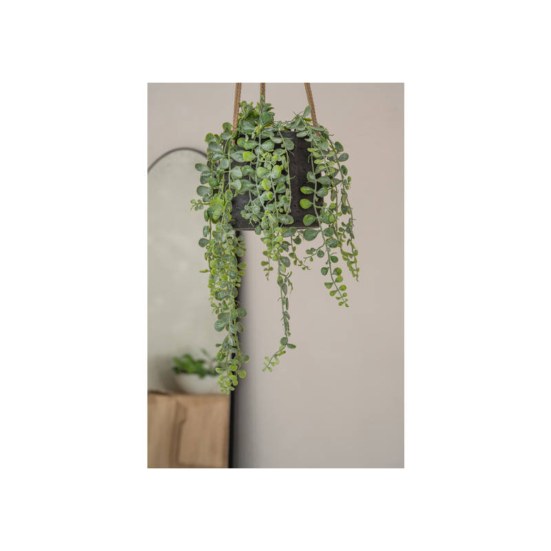 Gray Fiberstone Hanging Pot, 6" W x 6" D x 6" H, Black