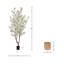 5.5' Cherry Blossom Tree with Bamboo Planter-420896964