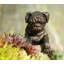 Shonnard Animals UV Resistant Stone Garden Statue