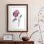 Watercolor Floral Contour III Premium encadré mat - prêt à être accroché-670108983-670108991