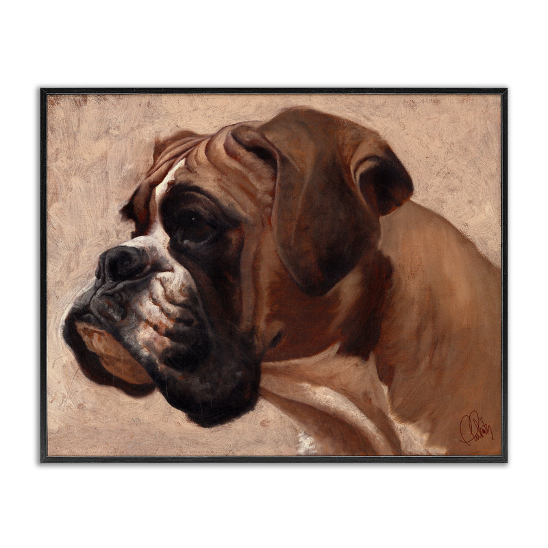 «Boxer Dog Neutral Portrait», estampe numérique par Thomas Fluharty, H 11 po x l 14 po, Giclée encadrée noir minuit