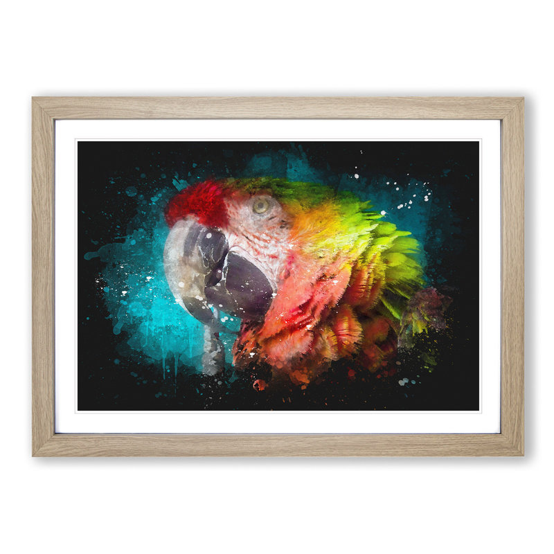Rainbow Macaw Parrot - Picture Frame Graphic Art, 33cm H x 45cm W x 2cm D, Oak Framed