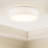 Raasch 1-Light LED Flush Mount-930126326-930126313