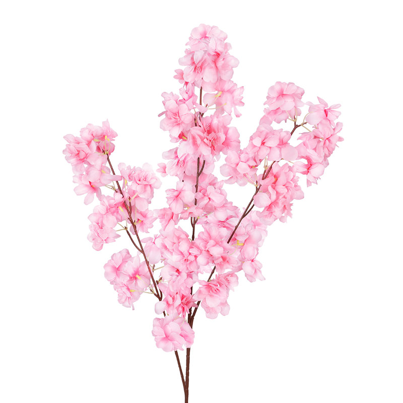Jet de fleurs de cerisier Torrez, Rose