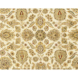 Hand Knotted Wool Area Rug in Ivory And Gold