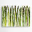 Art mural en métal légumes vert asperge-265331107