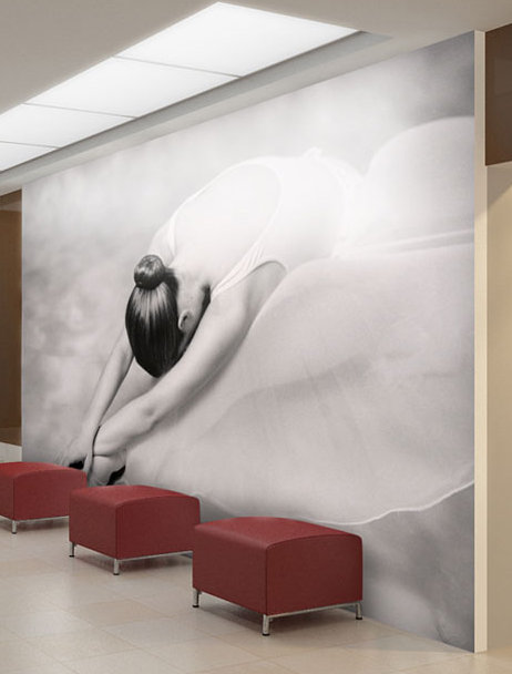 Ballet Dancer 270cm x 350cm Wallpaper, 231cm L x 300cm W