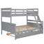 Bunk Bed With Ladder-738608564