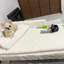 Coussin pour chien confortable et imperméable Comfy