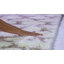 Tapis à poils longs Bertl Sgm-Montreal-20296024