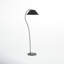Phoenix 69'' Floor Lamp