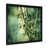 Black Single Picture Framed