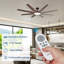 Ceiling Fan-1629712560