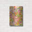 Luxe métal Art «Wildflower Study II» par Tim O'Tool «Luxe métal Art« Wildflower Study II »par Tim O'Toole