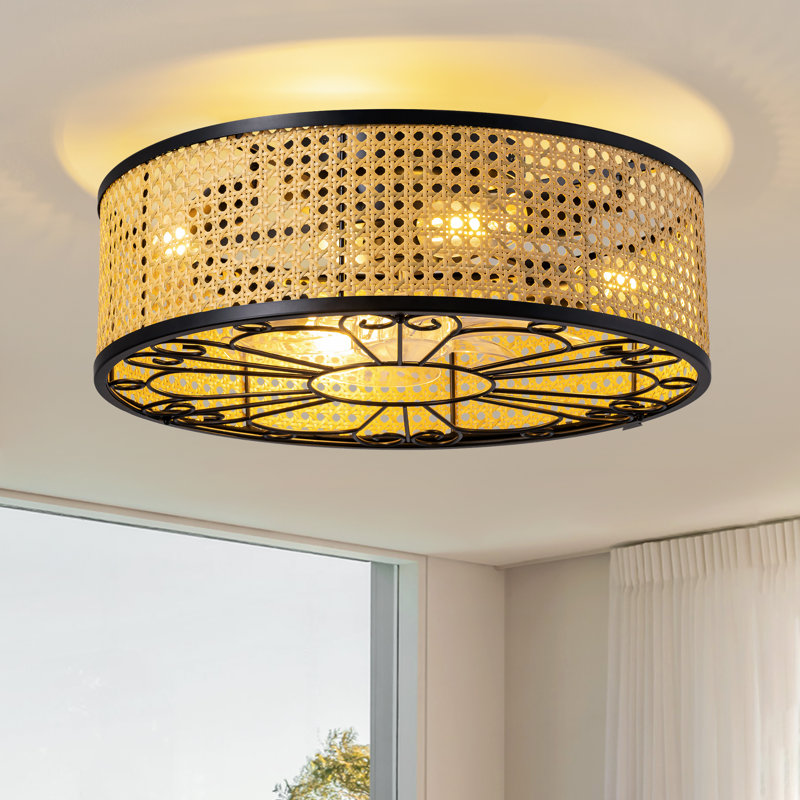 Ventilateur de plafond en cage 19,3 po avec lumières Boho