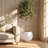 Dorlis Fiberstone Pot Planter-339756818-331591452