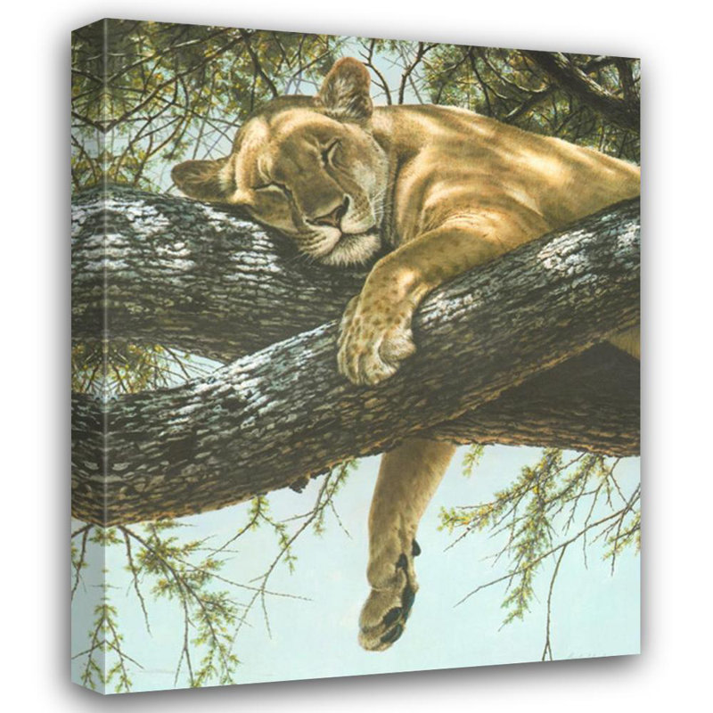 Lionne du lac Manyara MCG-PF1132, H 45 po x l 36 po