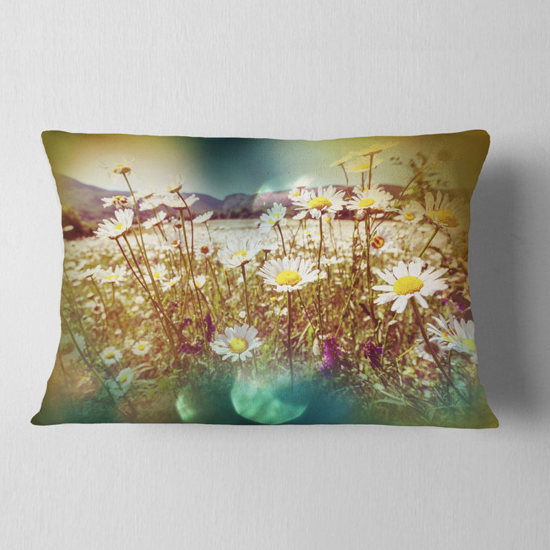 Fleurs de camomille dans un jardin d'été - Coussin décoratif imprimé paysage