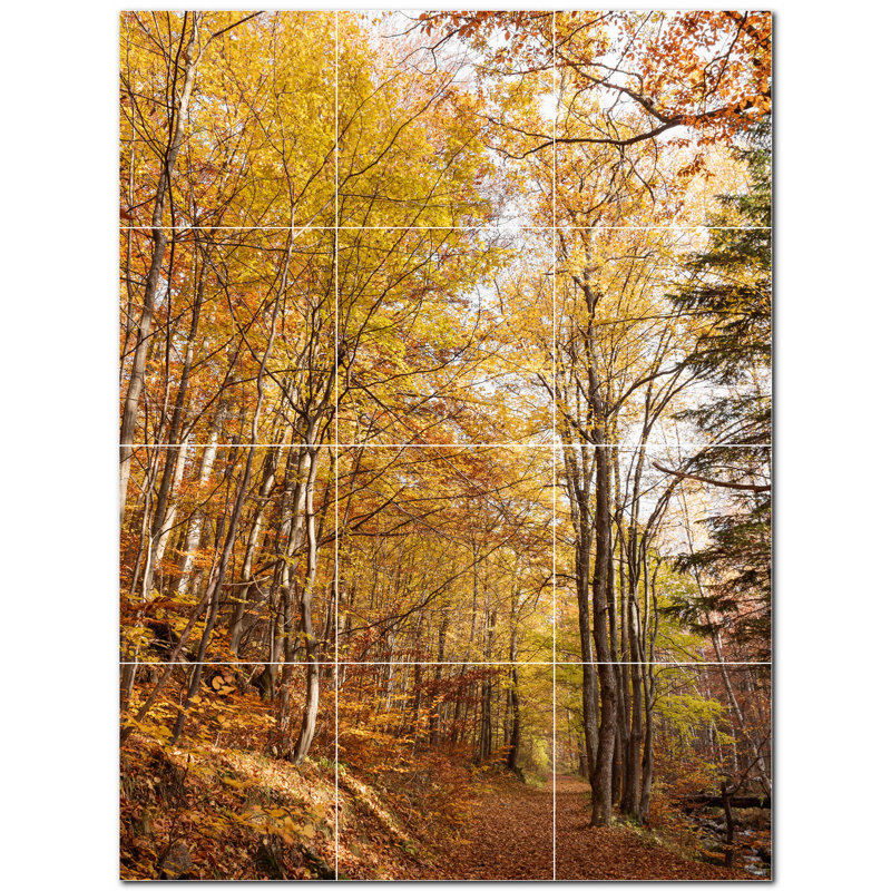 Photo d'automne 4,25 po x 4,25 po