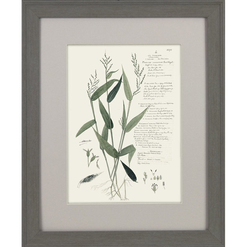 Single Picture Frame Print
